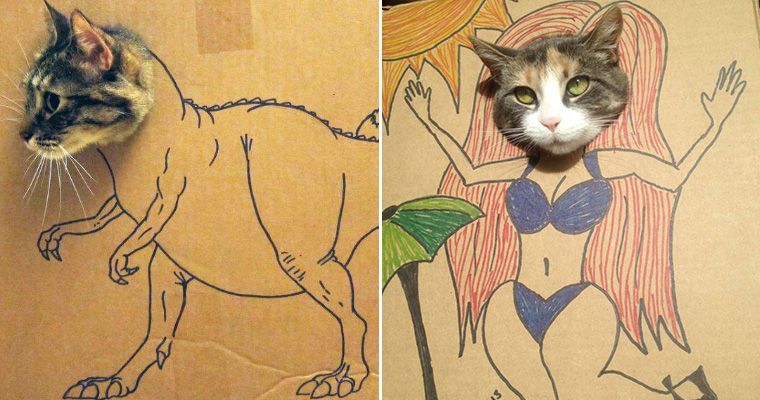 Как нарисовать картонка это